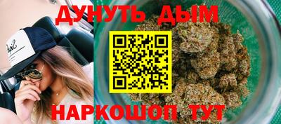Альфа ПВП Пушкино