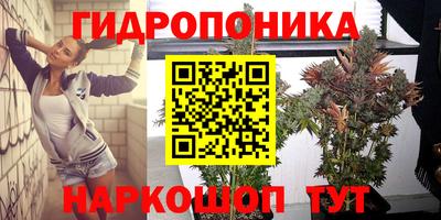 Альфа ПВП Пушкино