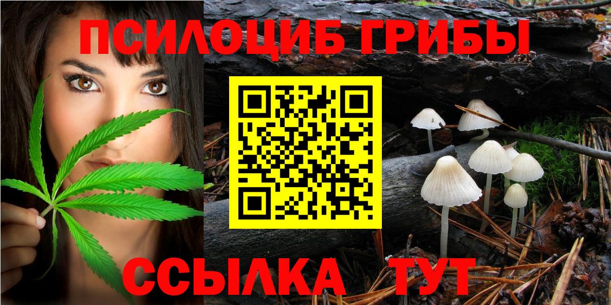 Псилоцибиновые грибы Psilocybine cubensis Полевской