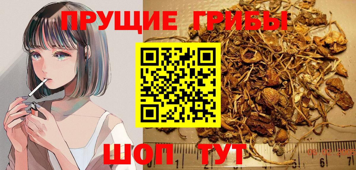Галлюциногенные грибы MAGIC MUSHROOMS  Вход с VPN  цена   Полевской 